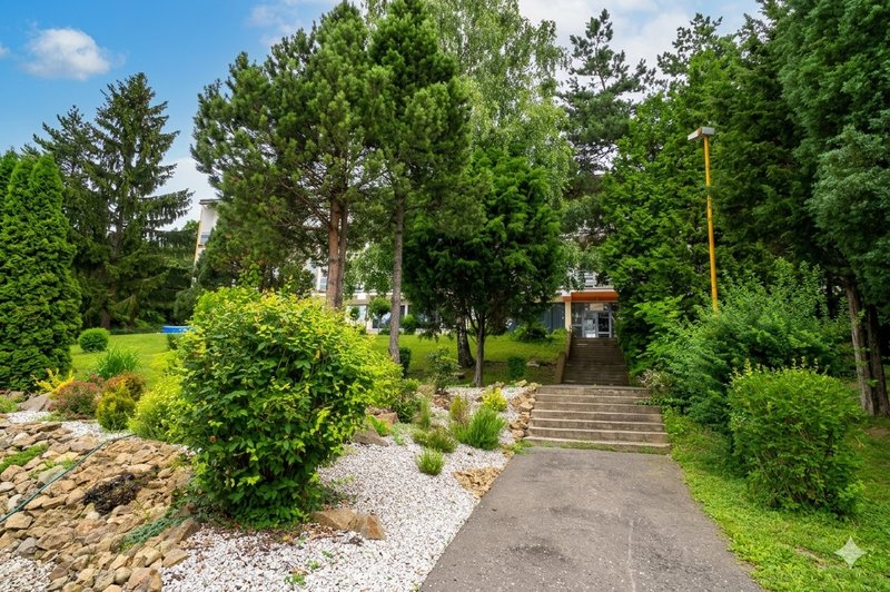 Vstupný chodník